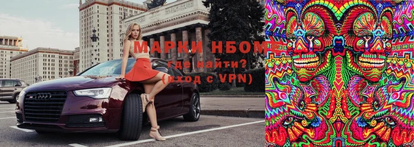 стаф Богданович