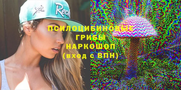 стаф Аркадак