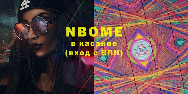 стаф Аркадак