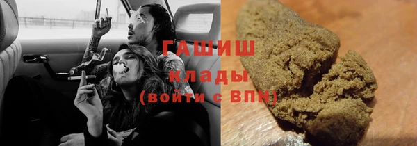 стаф Аркадак