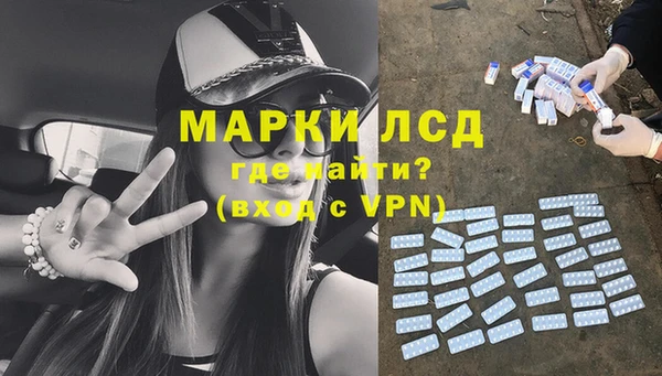 стаф Аркадак