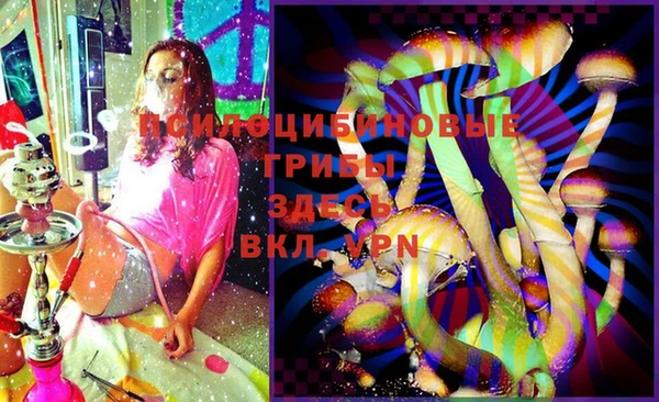 стаф Богданович