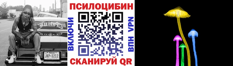 mega ссылка  Чернушка  Псилоцибиновые грибы Psilocybine cubensis  купить  